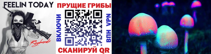 Псилоцибиновые грибы GOLDEN TEACHER  Оренбург 